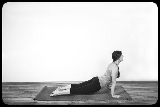 Urdhva Mukha Svanasana